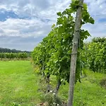 Erve Zonnehoeve Minicamping En Wijngaard 营地 福尔登