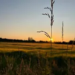 Erve Zonnehoeve Minicamping En Wijngaard *