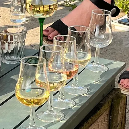 Kamp alanı Erve Zonnehoeve Minicamping En Wijngaard