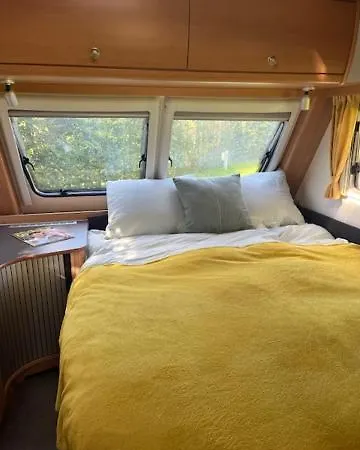 Erve Zonnehoeve Minicamping En Wijngaard Kamp alanı Vorden