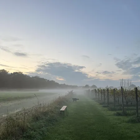 Erve Zonnehoeve Minicamping En Wijngaard אתר קמפינג *