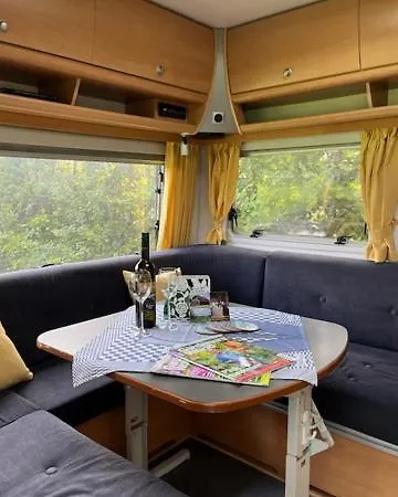 Erve Zonnehoeve Minicamping En Wijngaard Campingplads Vorden