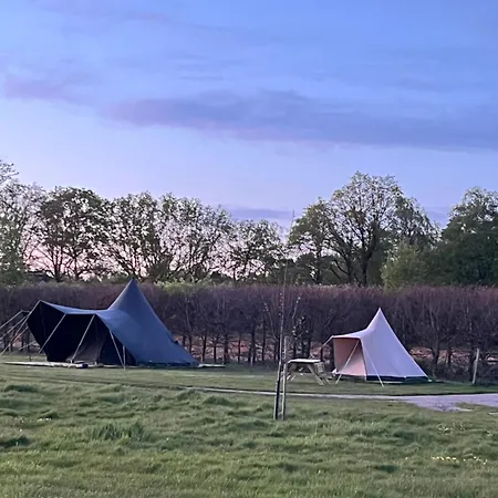 Campsite Erve Zonnehoeve Minicamping En Wijngaard *