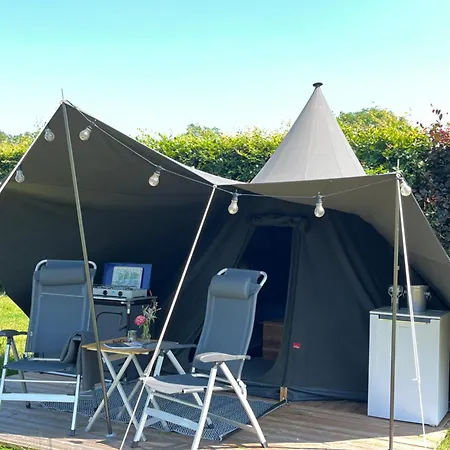 Erve Zonnehoeve Minicamping En Wijngaard Vorden