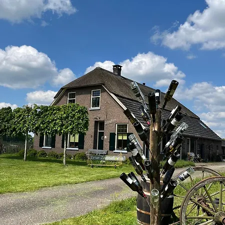 Erve Zonnehoeve Minicamping En Wijngaard