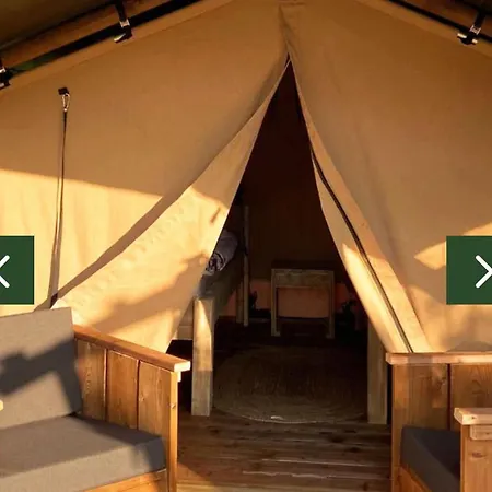 Erve Zonnehoeve Minicamping En Wijngaard