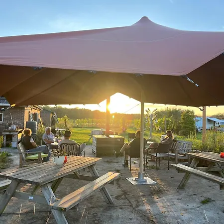 Campingplads Erve Zonnehoeve Minicamping En Wijngaard *
