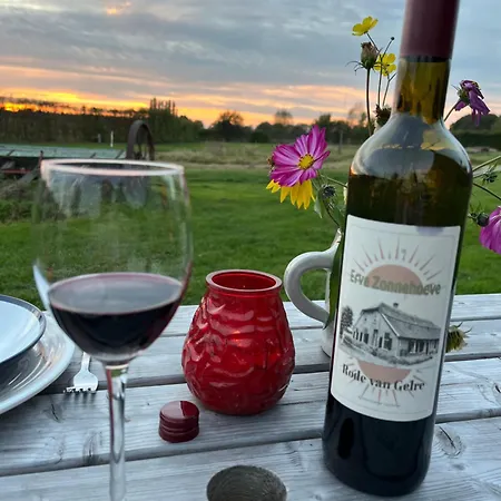 Kamp alanı Erve Zonnehoeve Minicamping En Wijngaard *