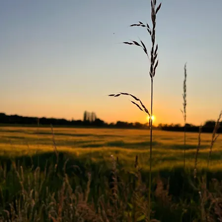 Erve Zonnehoeve Minicamping En Wijngaard *