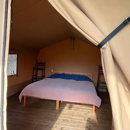 Erve Zonnehoeve Minicamping En Wijngaard Camping *