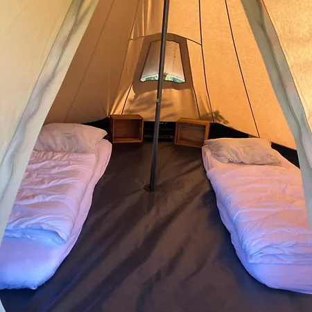 Erve Zonnehoeve Minicamping En Wijngaard Camping