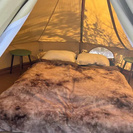 Kemping Erve Zonnehoeve Minicamping En Wijngaard