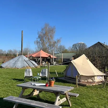 Kemping Erve Zonnehoeve Minicamping En Wijngaard Vorden