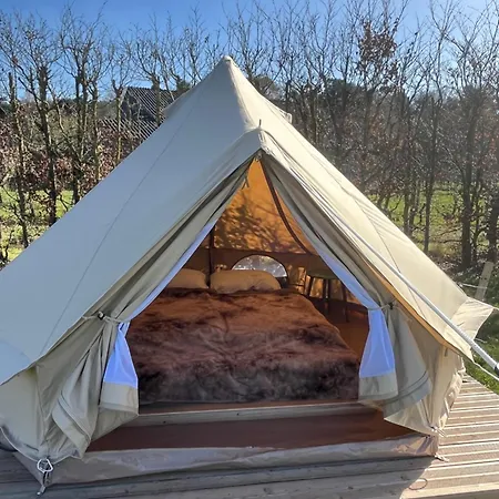 Kemping Erve Zonnehoeve Minicamping En Wijngaard Vorden