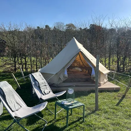 Erve Zonnehoeve Minicamping En Wijngaard