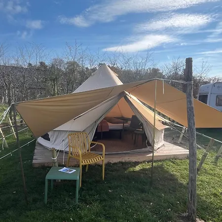 Erve Zonnehoeve Minicamping En Wijngaard Vorden