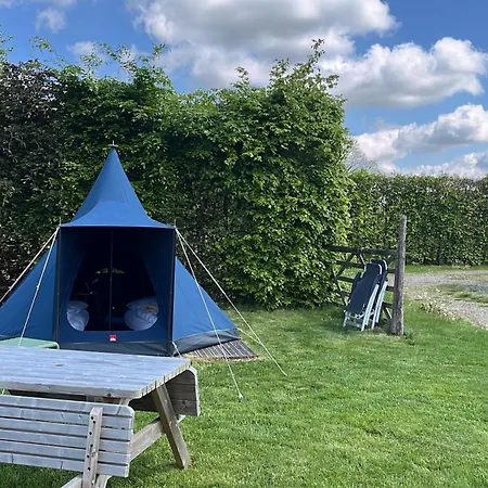 Erve Zonnehoeve Minicamping En Wijngaard 福尔登