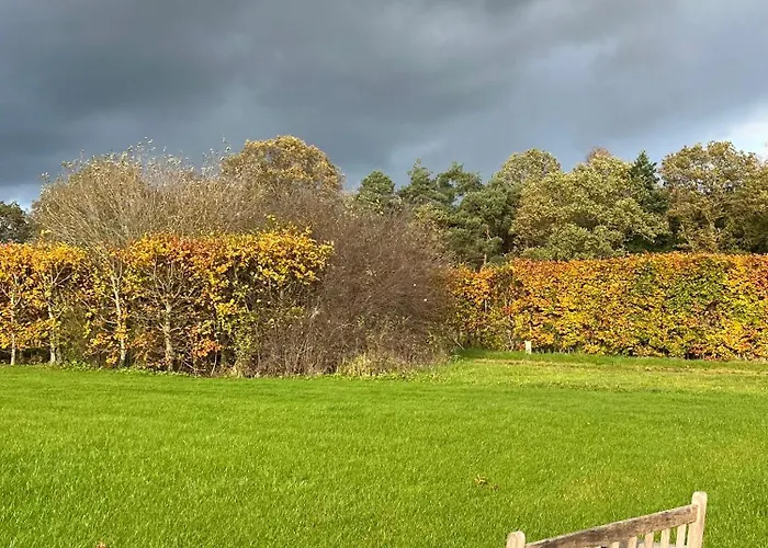 Erve Zonnehoeve Minicamping En Wijngaard Camping