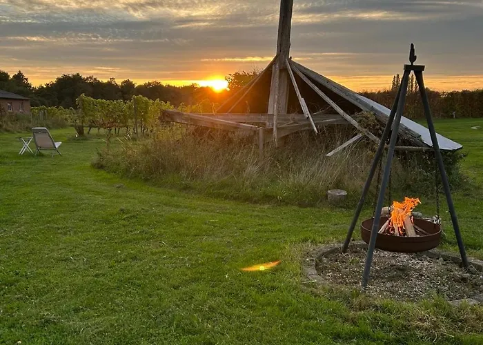 Erve Zonnehoeve Minicamping En Wijngaard * Vorden