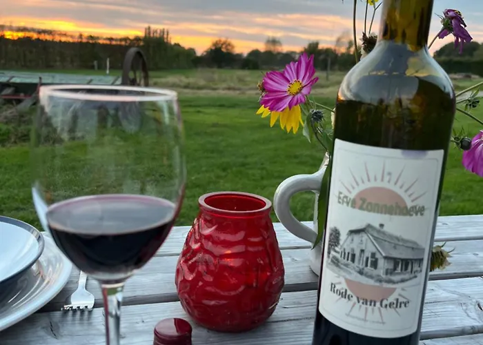 Camping Erve Zonnehoeve Minicamping En Wijngaard *