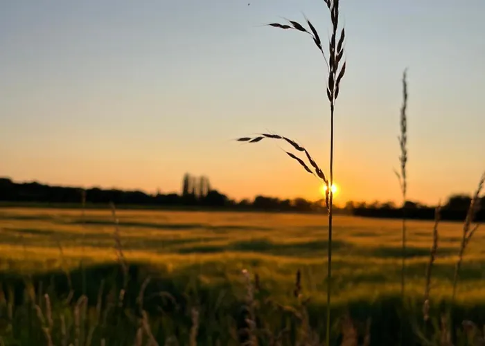 Erve Zonnehoeve Minicamping En Wijngaard *