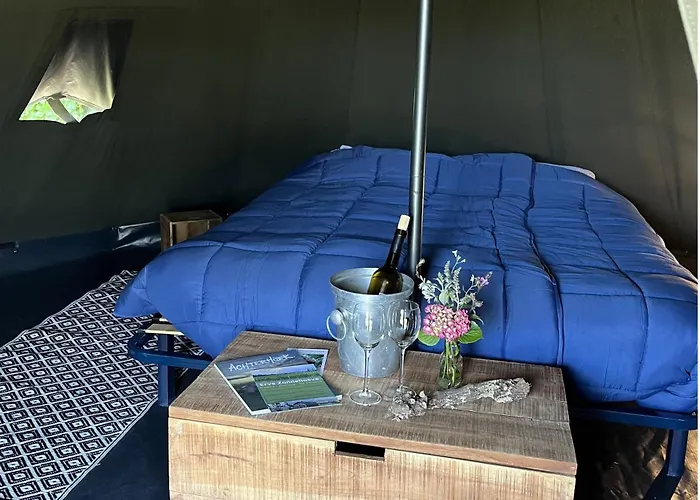 Erve Zonnehoeve Minicamping En Wijngaard Vorden