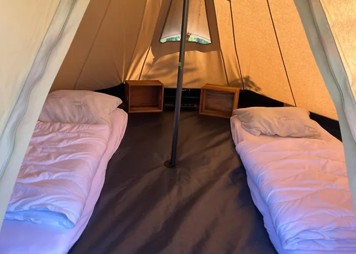 Erve Zonnehoeve Minicamping En Wijngaard Camping