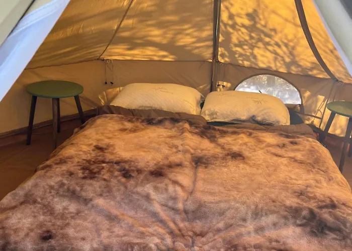 Kemping Erve Zonnehoeve Minicamping En Wijngaard