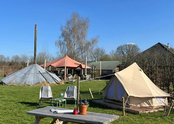 Kemping Erve Zonnehoeve Minicamping En Wijngaard Vorden