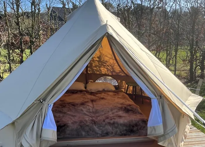 Kemping Erve Zonnehoeve Minicamping En Wijngaard Vorden