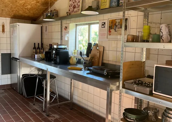 Erve Zonnehoeve Minicamping En Wijngaard Kemping