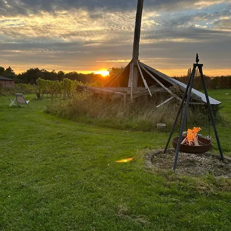 Erve Zonnehoeve Minicamping En Wijngaard * פורדן