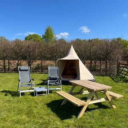 Erve Zonnehoeve Minicamping En Wijngaard Campsite Vorden