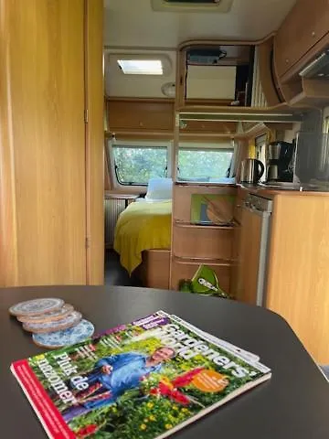 Erve Zonnehoeve Minicamping En Wijngaard Campsite