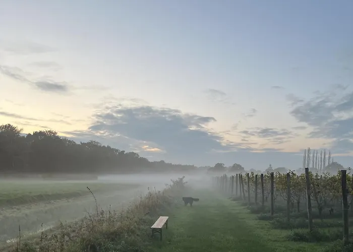 Erve Zonnehoeve Minicamping En Wijngaard Campsite *