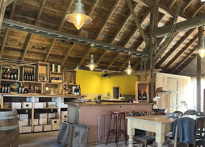 Erve Zonnehoeve Minicamping En Wijngaard Campsite *