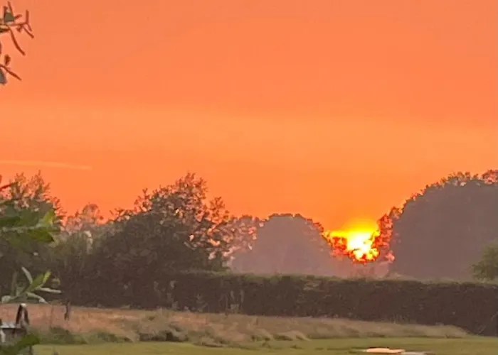 Campsite Erve Zonnehoeve Minicamping En Wijngaard