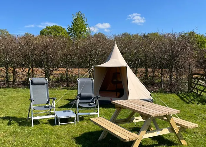 Erve Zonnehoeve Minicamping En Wijngaard Campsite Vorden