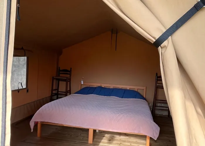 Erve Zonnehoeve Minicamping En Wijngaard Campsite *